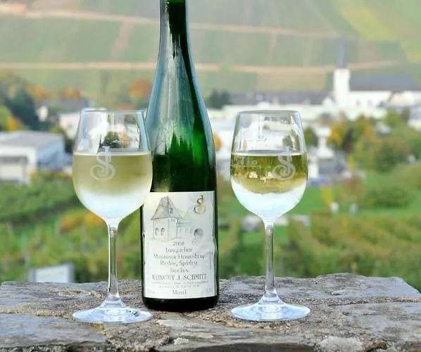 Gaestehaus Wein Im Turm Hotel Longuich