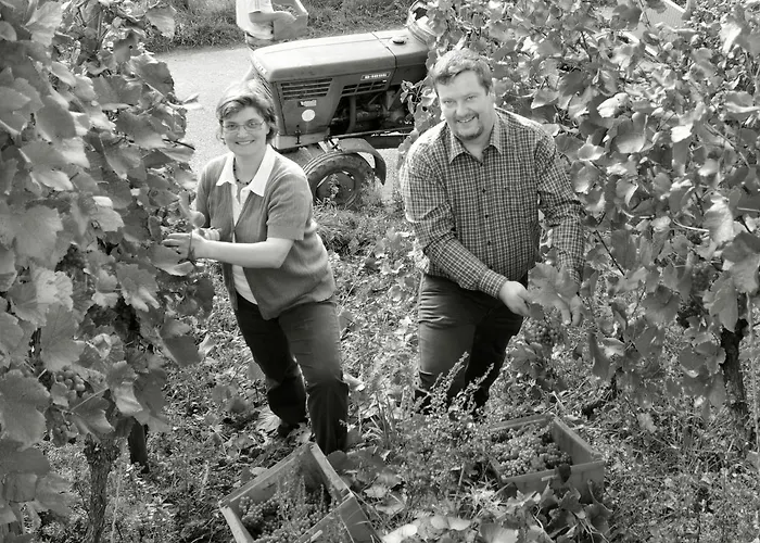 Gaestehaus Wein Im Turm Longuich